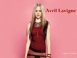                                                 D.M,A.V